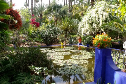 Những chùm ảnh đẹp rực rỡ của các vườn hoa đẹp nhất thế giới