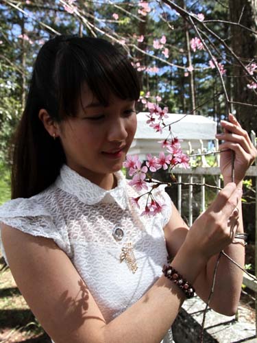 Đà[-]Lạt[-]rực[-]hồng[-]sắc[-]mai[-]anh[-]đào