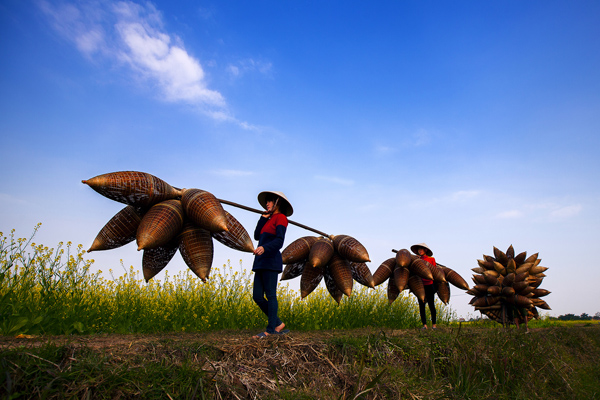 Cảnh[-]làng[-]nghề[-]đan[-]đó[-]mùa[-]hoa[-]cải