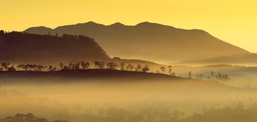 Đà[-]Lạt[-]huyền[-]ảo[-]trong[-]sương[-]khiến[-]vạn[-]người[-]mê