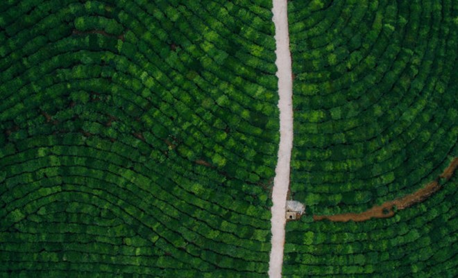 Bộ[-]ảnh[-]flycam[-]​”Từ[-]Bắc[-]vô[-]Nam[-]nối[-]liền[-]nắm[-]tay”