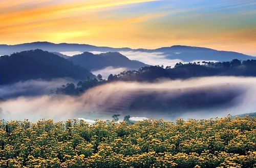 Đà[-]Lạt[-]huyền[-]ảo[-]trong[-]sương[-]khiến[-]vạn[-]người[-]mê