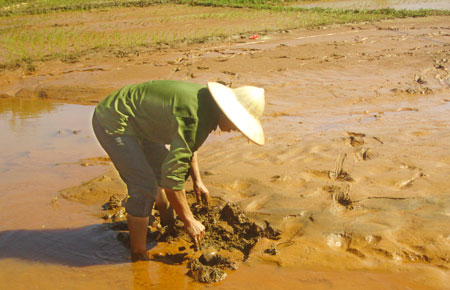 Cao[-]Bằng:[-]Vỡ[-]bể[-]chứa[-]thải[-]nhà[-]máy[-]chì[-]kẽm,[-]môi[-]trường[-]bị[-]ô[-]nhiễm[-]nặng
