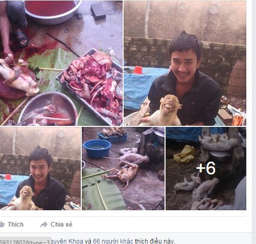 Người[-]đăng[-]ảnh[-]giết[-]hại[-]khỉ[-]lên[-]facebook[-]không[-]bị[-]xử[-]phạt