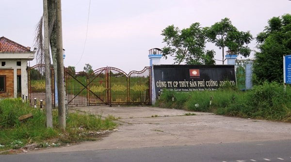 Sự[-]thật[-]nợ[-]nần[-]của[-]đại[-]gia[-]Cà[-]Mau[-]mời[-]Mr[-]Đàm[-]hát[-]đám[-]cưới[-]2[-]tỷ