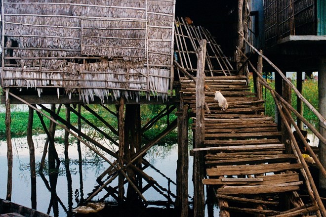 Ngắm[-]cảnh[-]yên[-]bình[-]của[-]ngôi[-]làng[-]người[-]Việt[-]dọc[-]bờ[-]Biển[-]Hồ