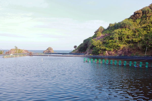Bình[-]Định:[-]Vẻ[-]đẹp[-]nguyên[-]sơ[-]gành[-]đá[-]Lộ[-]Diêu