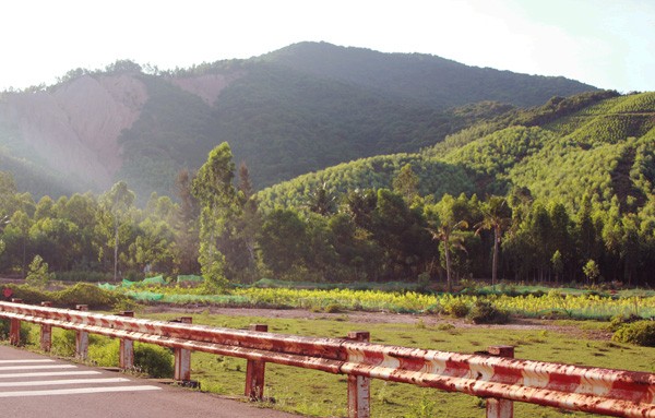 Bình[-]Định:[-]Vẻ[-]đẹp[-]nguyên[-]sơ[-]gành[-]đá[-]Lộ[-]Diêu