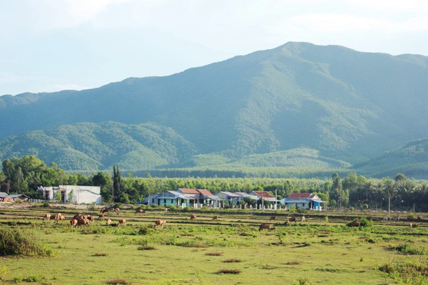 Bình[-]Định:[-]Vẻ[-]đẹp[-]nguyên[-]sơ[-]gành[-]đá[-]Lộ[-]Diêu