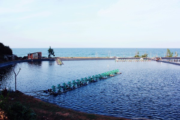 Bình[-]Định:[-]Vẻ[-]đẹp[-]nguyên[-]sơ[-]gành[-]đá[-]Lộ[-]Diêu