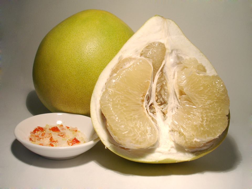 Bưởi[-]-[-]Vị[-]thuốc[-]trị[-]ho