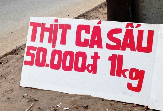 TP.HCM:[-]Tràn[-]lan[-]thịt[-]cá[-]sấu[-]lề[-]đường