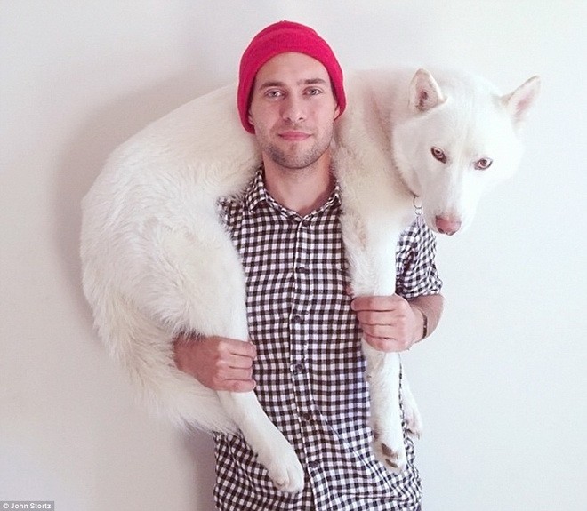 Wolf:[-]Chú[-]chó[-]trắng[-]được[-]chủ[-]cho[-]đi[-]du[-]lịch[-]khắp[-]Mỹ[-]để[-]chụp[-]ảnh