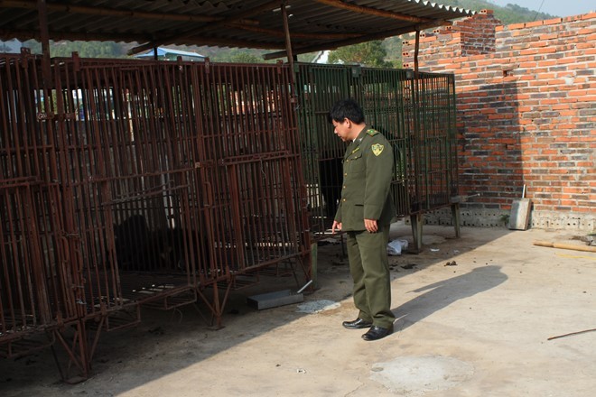106[-]cá[-]thể[-]gấu[-]bị[-]chết[-]trong[-]vòng[-]một[-]năm[-]vì[-]suy[-]kiệt