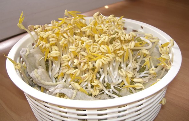 Những[-]thực[-]phẩm[-]gây[-]ngộ[-]độc[-]hàng[-]đầu