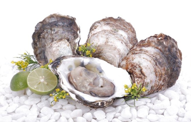 Những[-]thực[-]phẩm[-]gây[-]ngộ[-]độc[-]hàng[-]đầu