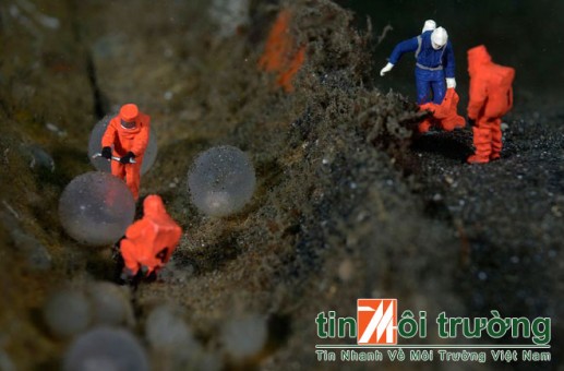 Người tí hon thám hiểm đáy biển 11