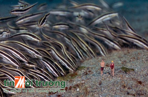 Người tí hon thám hiểm đáy biển 02