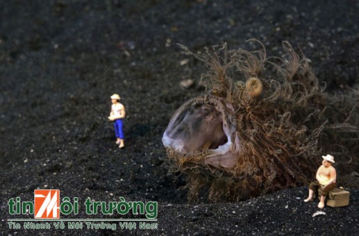 Người tí hon thám hiểm đáy biển 08