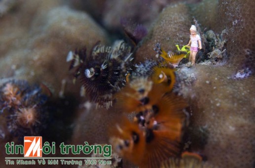 Người tí hon thám hiểm đáy biển 09