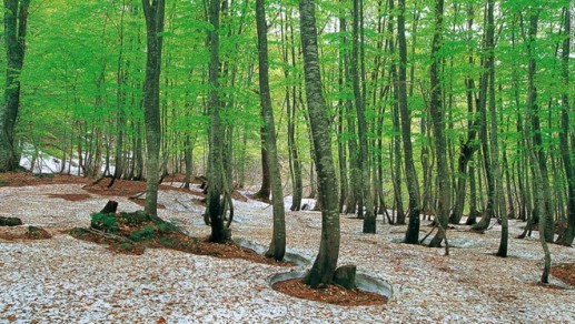 Khám phá những di sản thiên nhiên tuyệt mỹ của trái đất