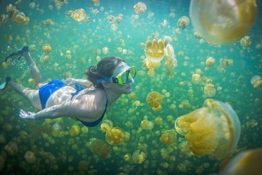 Những kỳ quan thiên nhiên nên khám phá một lần trong đời