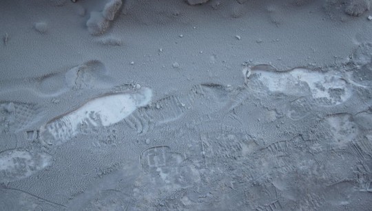 Tuyết[-]đen[-]xuất[-]hiện[-]ở[-]Siberia.[-]Ảnh:[-]RIA[-]Novosti