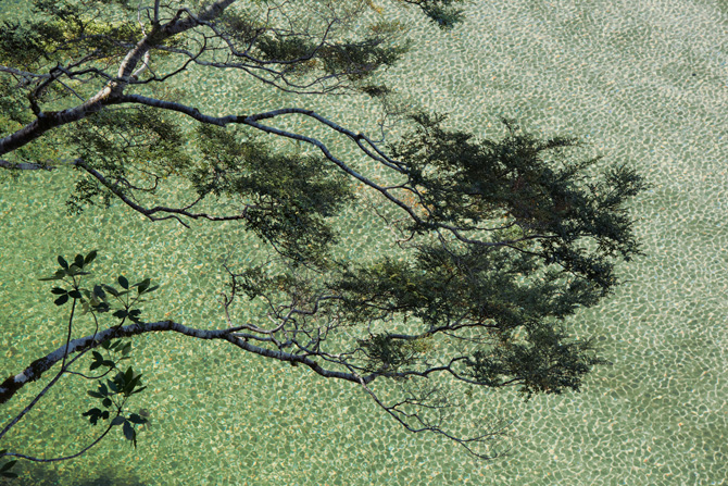 Description:[-]http://ngm.nationalgeographic.com/2014/03/new-zealand/img/01-beech-boughs-overhang-lake-ada-NEW-670.jpg