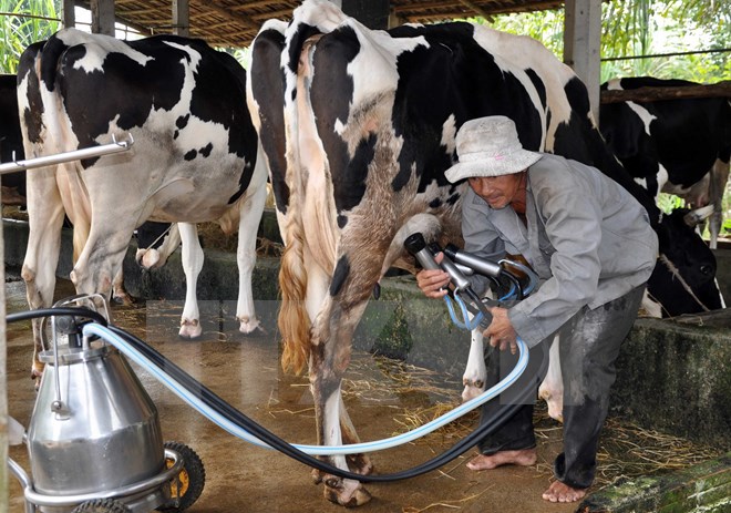 Ông[-]Đinh[-]La[-]Thăng[-]chỉ[-]đạo[-]điện[-]thoại[-]TGĐ:[-]Vinamilk[-]không[-]mua[-]ngay[-]được
