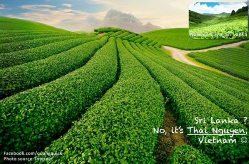 Ngỡ[-]ngàng[-]với[-]bộ[-]ảnh[-]ghép[-]Việt[-]Nam[-]đẹp[-]không[-]thua[-]kém[-]thế[-]giới