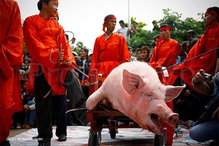 Bắc[-]Ninh:[-]Không[-]tổ[-]chức[-]chém[-]lợn[-]giữa[-]sân[-]đình
