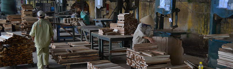 Điển[-]hình[-]về[-]trồng,[-]quản[-]lý[-]và[-]khai[-]thác[-]rừng[-]bền[-]vững[-]tại[-]Việt[-]Nam