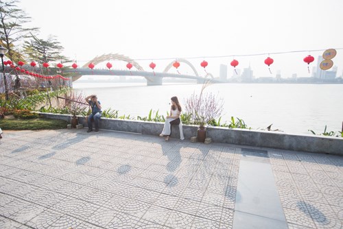 Đà[-]Nẵng:[-]Bản[-]đồ[-]Việt[-]Nam[-]bằng[-]hoa[-]lập[-]kỷ[-]lục