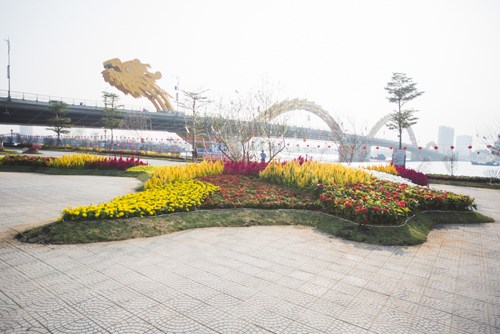 Đà[-]Nẵng:[-]Bản[-]đồ[-]Việt[-]Nam[-]bằng[-]hoa[-]lập[-]kỷ[-]lục