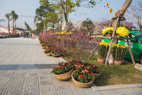 Đà[-]Nẵng:[-]Bản[-]đồ[-]Việt[-]Nam[-]bằng[-]hoa[-]lập[-]kỷ[-]lục