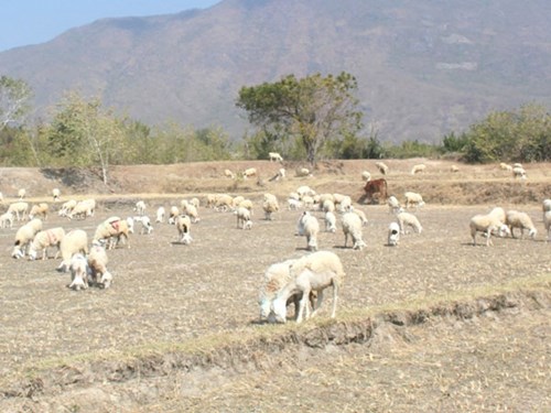 Khô[-]hạn,[-]thiếu[-]nước[-]tại[-]Trung[-]bộ[-]và[-]Tây[-]Nguyên[-]sẽ[-]khốc[-]liệt[-]hơn[-]năm[-]2015