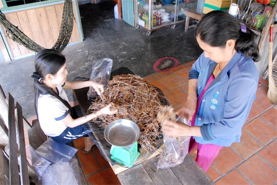 [-]Làng[-]làm[-]nghề[-]“Vũ[-]nữ[-]chân[-]dài”[-]hốt[-]bạc[-]trong[-]mùa[-]Tết...