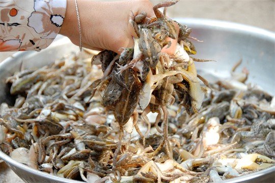 [-]Làng[-]làm[-]nghề[-]“Vũ[-]nữ[-]chân[-]dài”[-]hốt[-]bạc[-]trong[-]mùa[-]Tết...