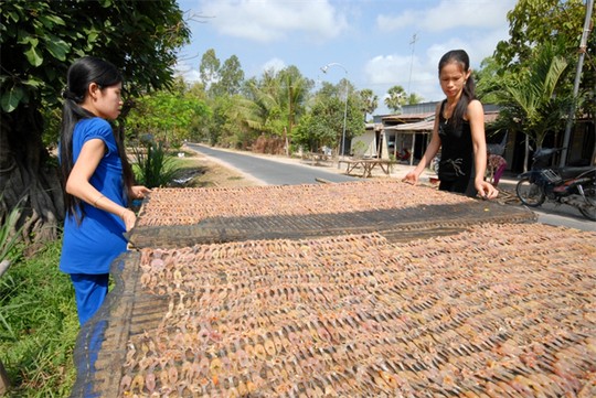 [-]Làng[-]làm[-]nghề[-]“Vũ[-]nữ[-]chân[-]dài”[-]hốt[-]bạc[-]trong[-]mùa[-]Tết...