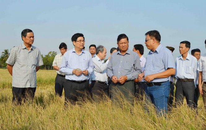 [-]Hạn,[-]mặn[-]đặc[-]biệt[-]trong[-]gần[-]100[-]năm