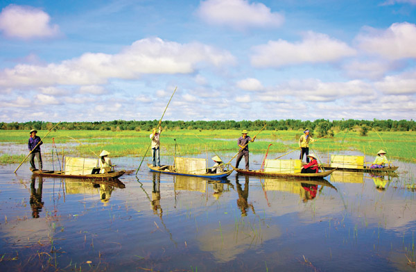[-]Chung[-]tay[-]phòng[-]chống[-]mặn[-]cho[-]vùng[-]vựa[-]lúa