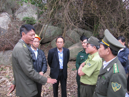 Đà[-]Nẵng:[-]Phá[-]rừng[-]vô[-]tội[-]vạ!