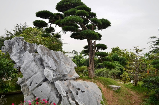 Một[-]"biệt[-]phủ"[-]tràn[-]ngập[-]màu[-]xanh[-]giữa[-]lòng[-]Hà[-]Nội