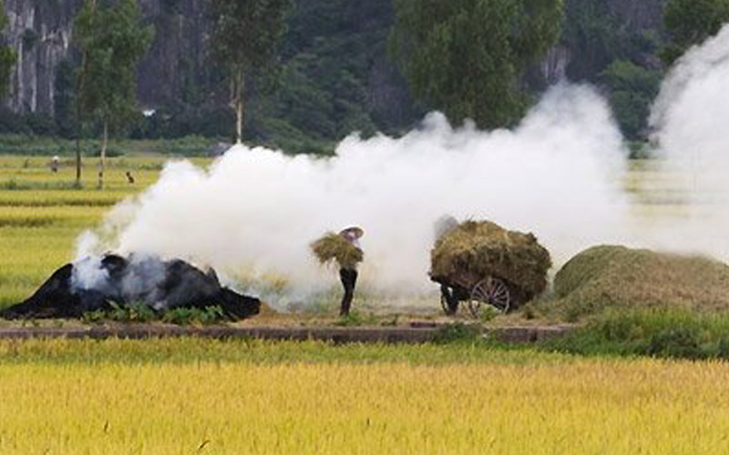 Dự[-]báo[-]“kịch[-]bản”[-]xấu[-]về[-]ô[-]nhiễm[-]môi[-]trường[-]nông[-]thôn