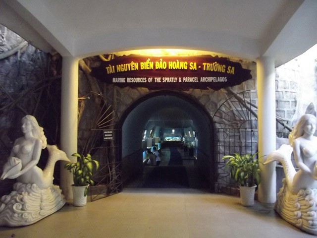 Tham[-]quan[-]bảo[-]tàng[-]sinh[-]vật[-]biển[-]lớn[-]nhất[-]Việt[-]Nam