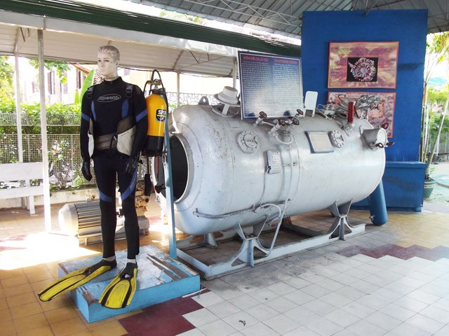 Tham[-]quan[-]bảo[-]tàng[-]sinh[-]vật[-]biển[-]lớn[-]nhất[-]Việt[-]Nam