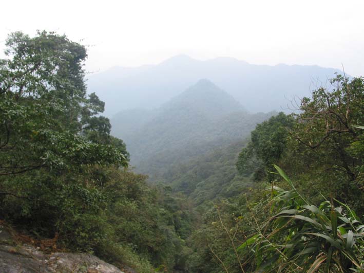 Cộng[-]đồng[-]cùng[-]tham[-]gia[-]bảo[-]vệ[-]và[-]chia[-]sẻ[-]lợi[-]ích[-]rừng[-]từ[-]Vườn[-]Quốc[-]gia[-]Bạch[-]Mã[-]
