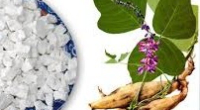 Dược[-]thiện[-]tốt[-]cho[-]người[-]đái[-]tháo[-]đường