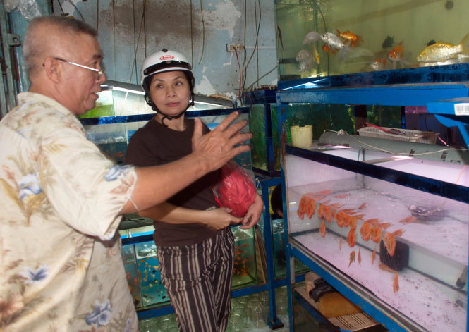 Cá[-]bạch[-]long[-]huyết[-]20[-]triệu[-]đồng[-]làm[-]quà[-]biếu[-]Tết