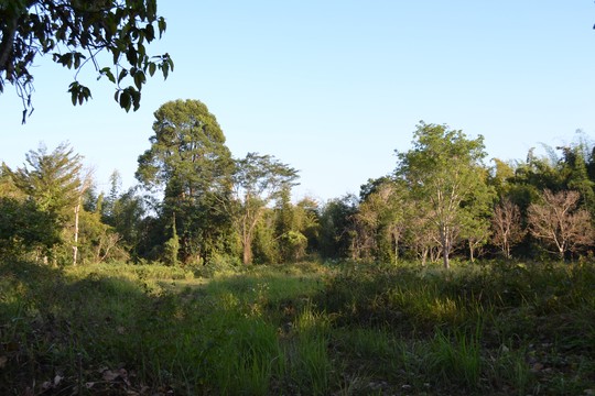 [-]Trở[-]lại[-]Cát[-]Tiên[-]kỳ[-]thú